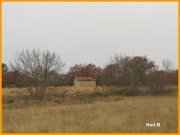 151214_Nad_M12.jpg