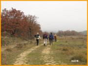151214_Nad_M14.jpg