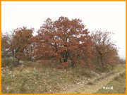 151214_Nad_M16.jpg