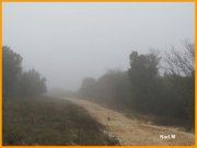 151214_Nad_M24.jpg