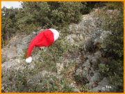 151214_Tex8.JPG