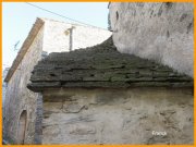 151130_Franck21.jpg