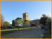 151130_Franck29.jpg