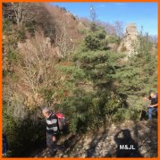 151116_MJL1.JPG