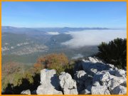 151108_Franck5.jpg
