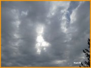 151102_Nad_M10.JPG