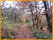 151102_Nad_M25.JPG