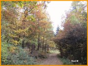 151102_Nad_M31.JPG