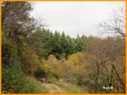 151102_Nad_M33.JPG