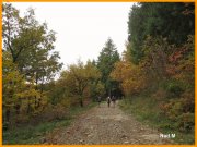 151102_Nad_M5.JPG