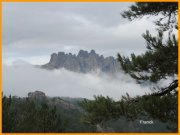 150930_Franck3.jpg