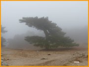 150930_Joss1.JPG