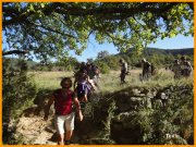 150921_Tex4.JPG