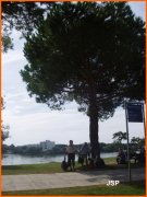 150910_JSP1.JPG