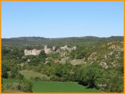 150907_Franck10.jpg