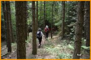 150601_Tex18.JPG