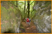 150601_Tex19.JPG