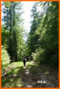 150510_MJL16.JPG