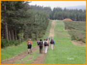 150504_Franck6.jpg