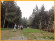 150504_Tex4.JPG