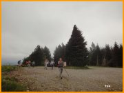 150504_Tex7.JPG