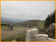 150504_Tex9.JPG