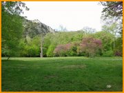 150426_DD4.jpg