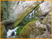 150426_DD5.jpg