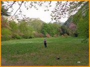 150426_DD7.jpg