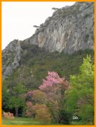 150426_DD8.jpg