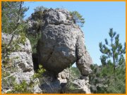 150412_Franck18.jpg