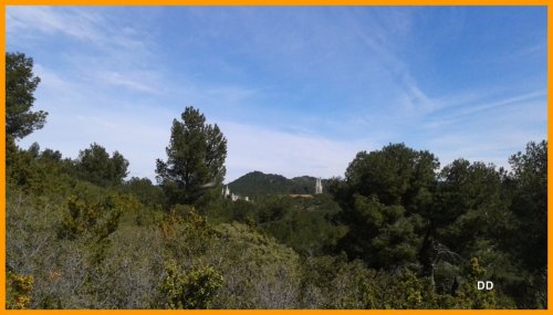 Cliquer pour voir l'image en taille réelle