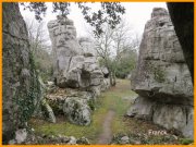150315_Franck24.jpg
