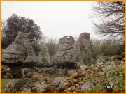 150315_Tex12.JPG