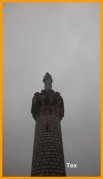 150315_Tex7.JPG