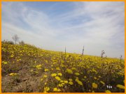 150309_Tex3.JPG