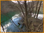 150301_DD5.jpg
