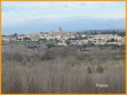 150223_Franck4.JPG