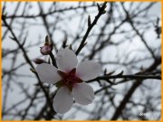 150223_Joss13.JPG