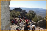 150209_Tex10.JPG