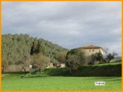 150208_Franck3.jpg