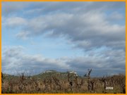 150208_Joss1.JPG