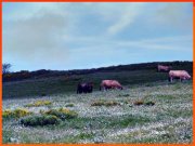 170609_Franck9.jpg