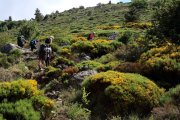 Aumessas004.jpg