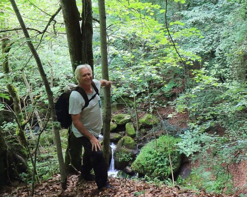 Cliquer pour voir l'image en taille réelle