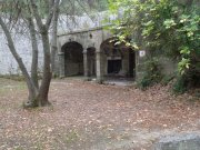 Castr005.jpg