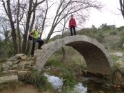 Castr013.jpg