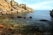 Dimanche083B.jpg