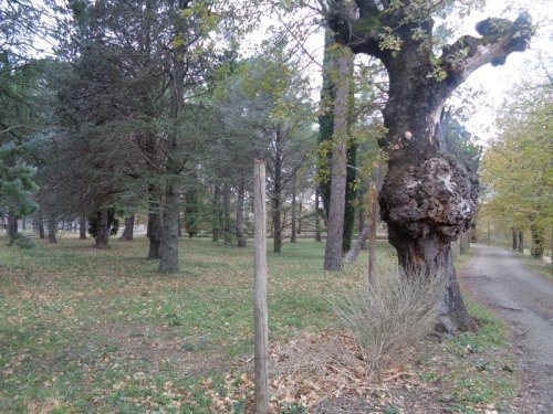 Cliquer pour voir l'image en taille réelle