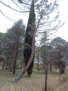 Lacjasse033.jpg
